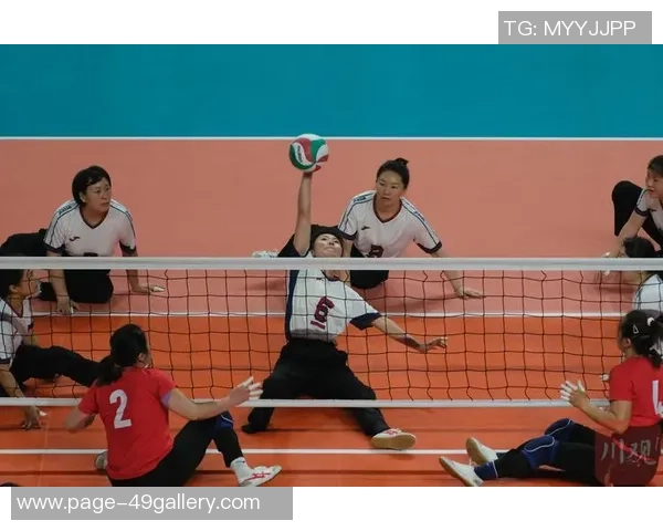 成都排球队的默契配合与战术探讨聚焦排球的团队精神与协作能力